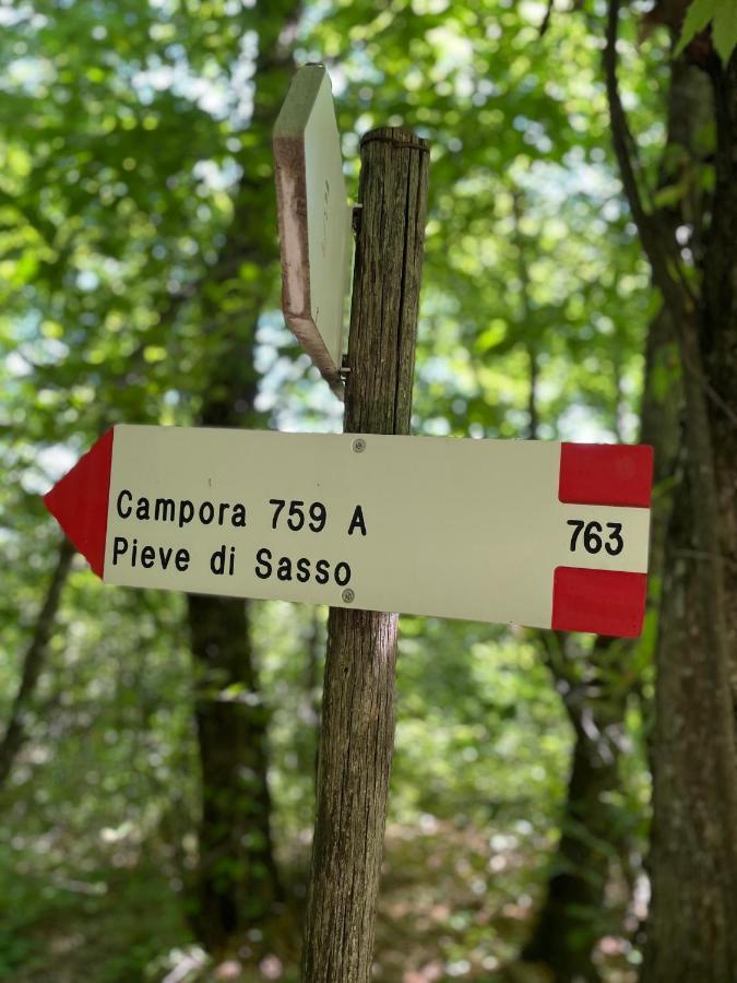 La Tana Del Picchio Villa Neviano degli Arduini Kültér fotó