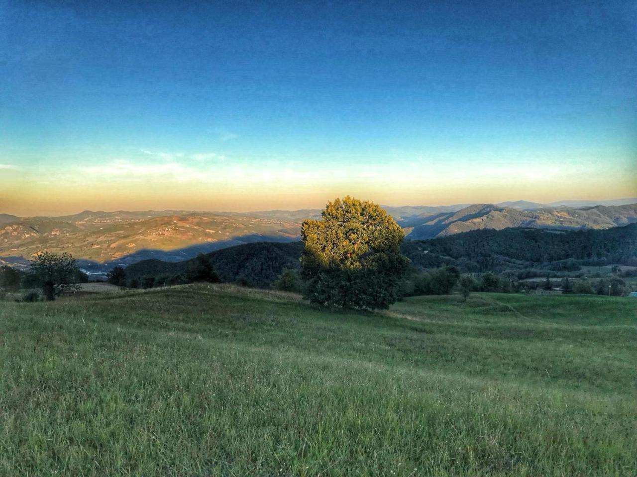 La Tana Del Picchio Villa Neviano degli Arduini Kültér fotó